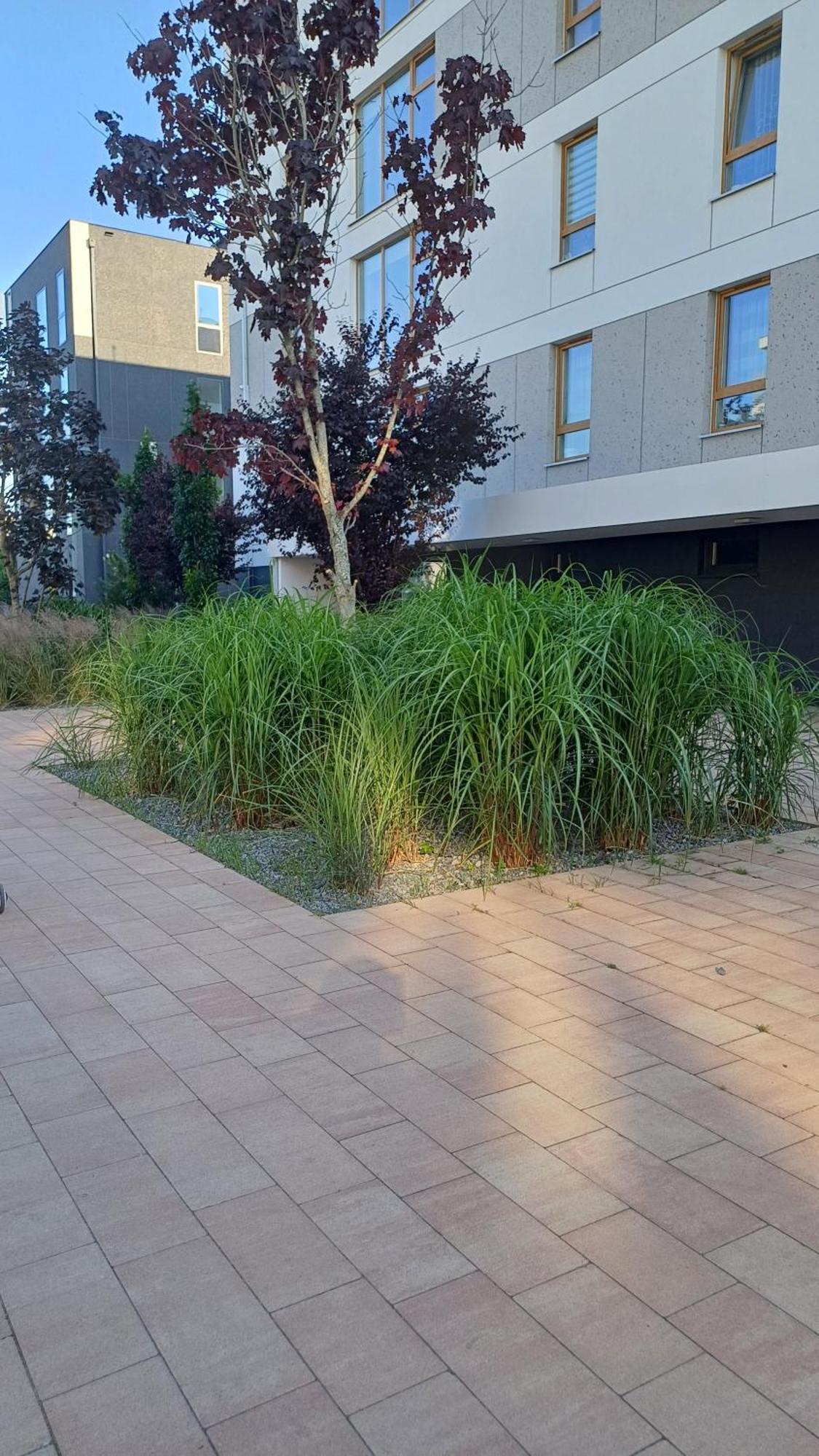 Apartament Davima Aquapark Rumia - Novum Exterior foto